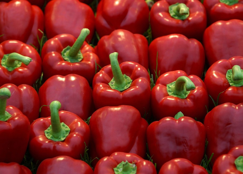 Pepper in Uganda ADAMA East Africa